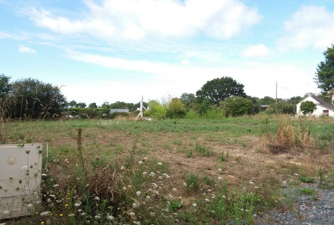 JG-117-18072025-154106-2