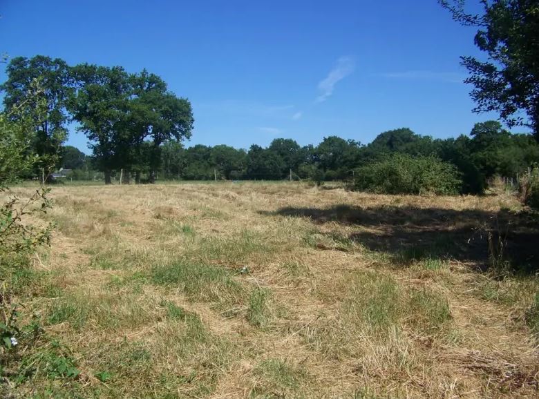 Terrain de 2 150 m² – ORVAULT