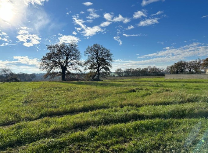 Terrain de 430 m² – REZE