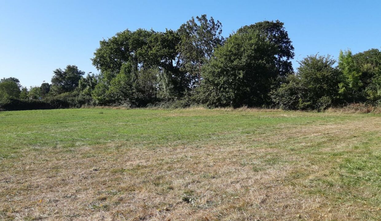 JG-156-23012026-133123