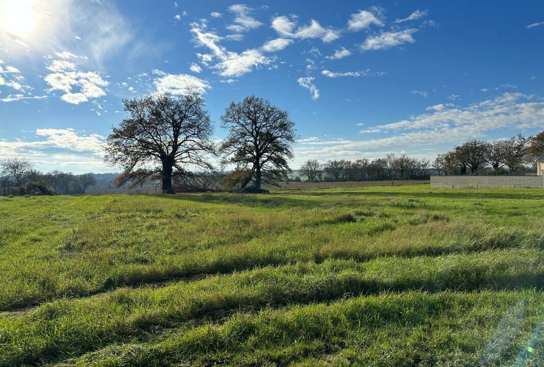 TC-140-23012026-161742