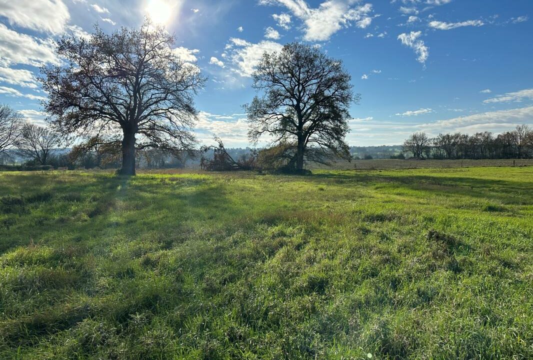 TC-145-27012026-105407